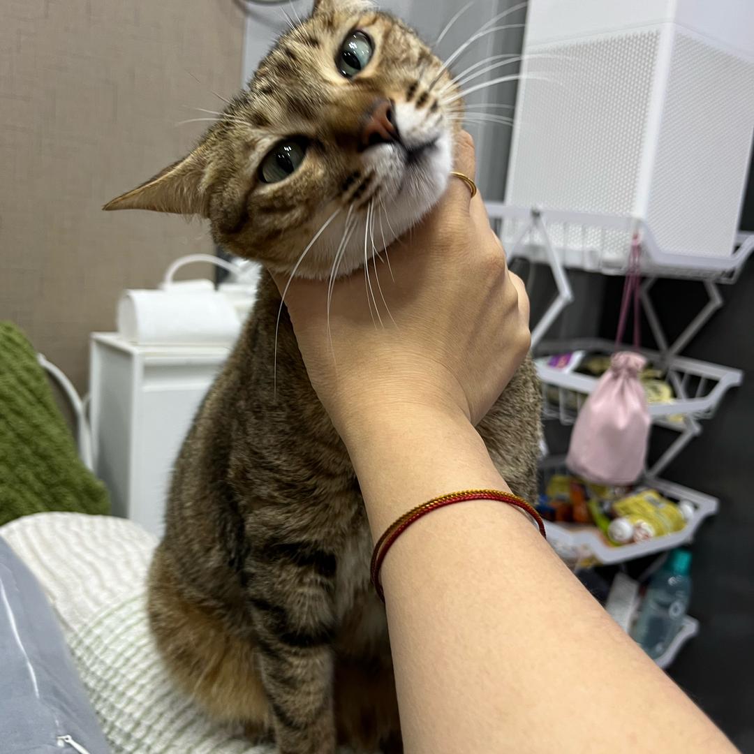 两百万和她的金主妈妈