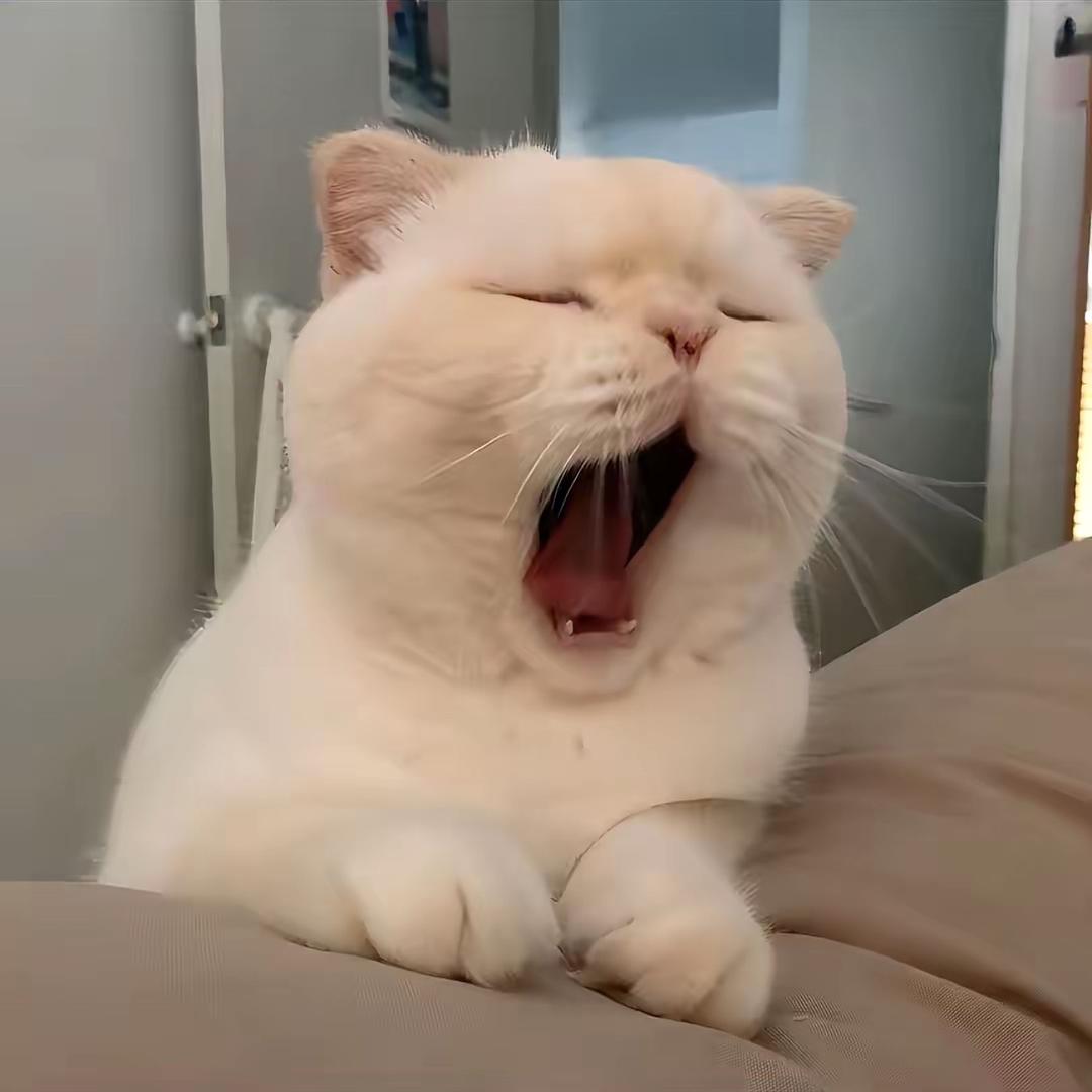 十五~