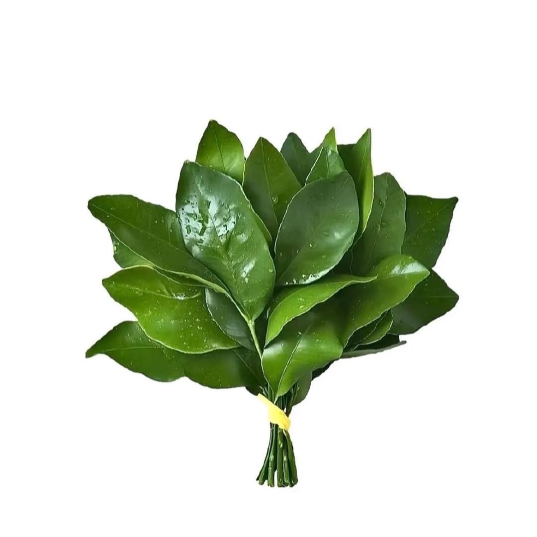 L l.