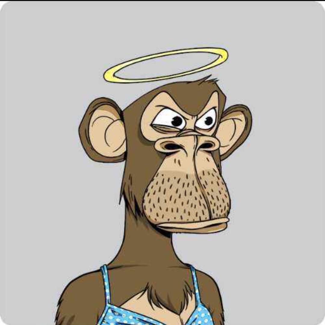 御龙在天嘎啦嘣脆呗