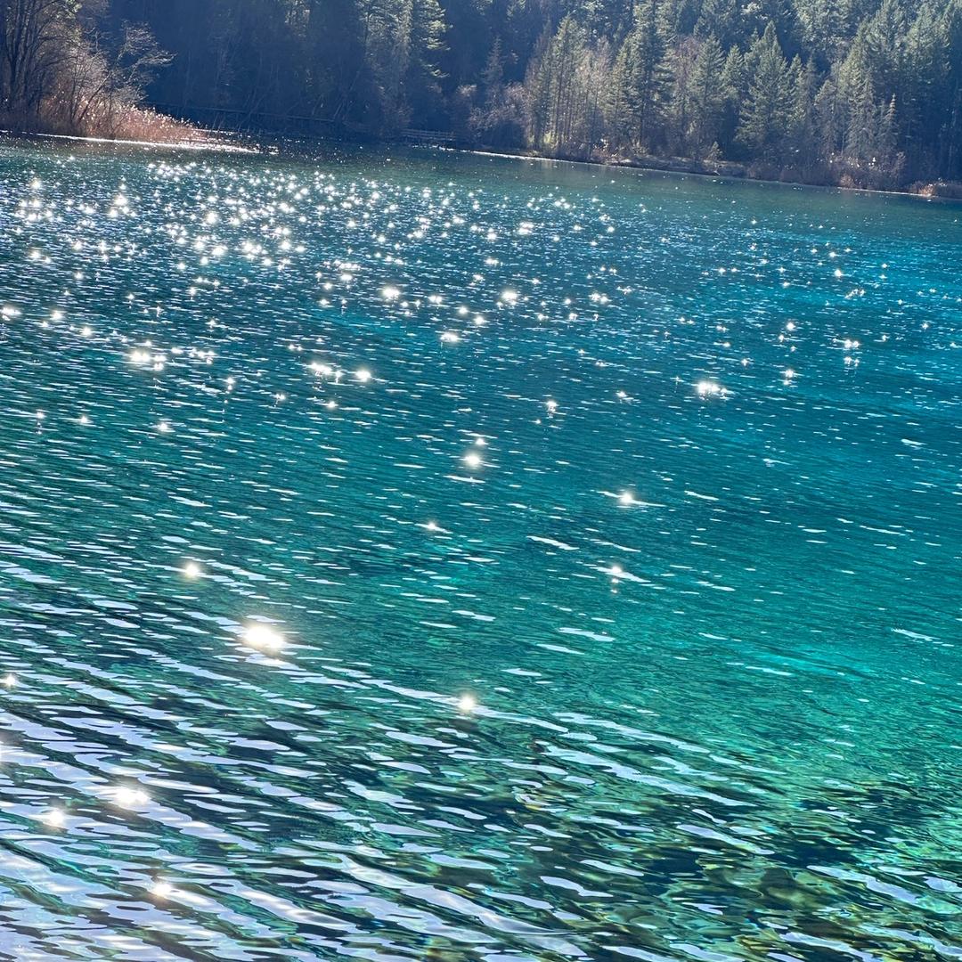 秦秦秦