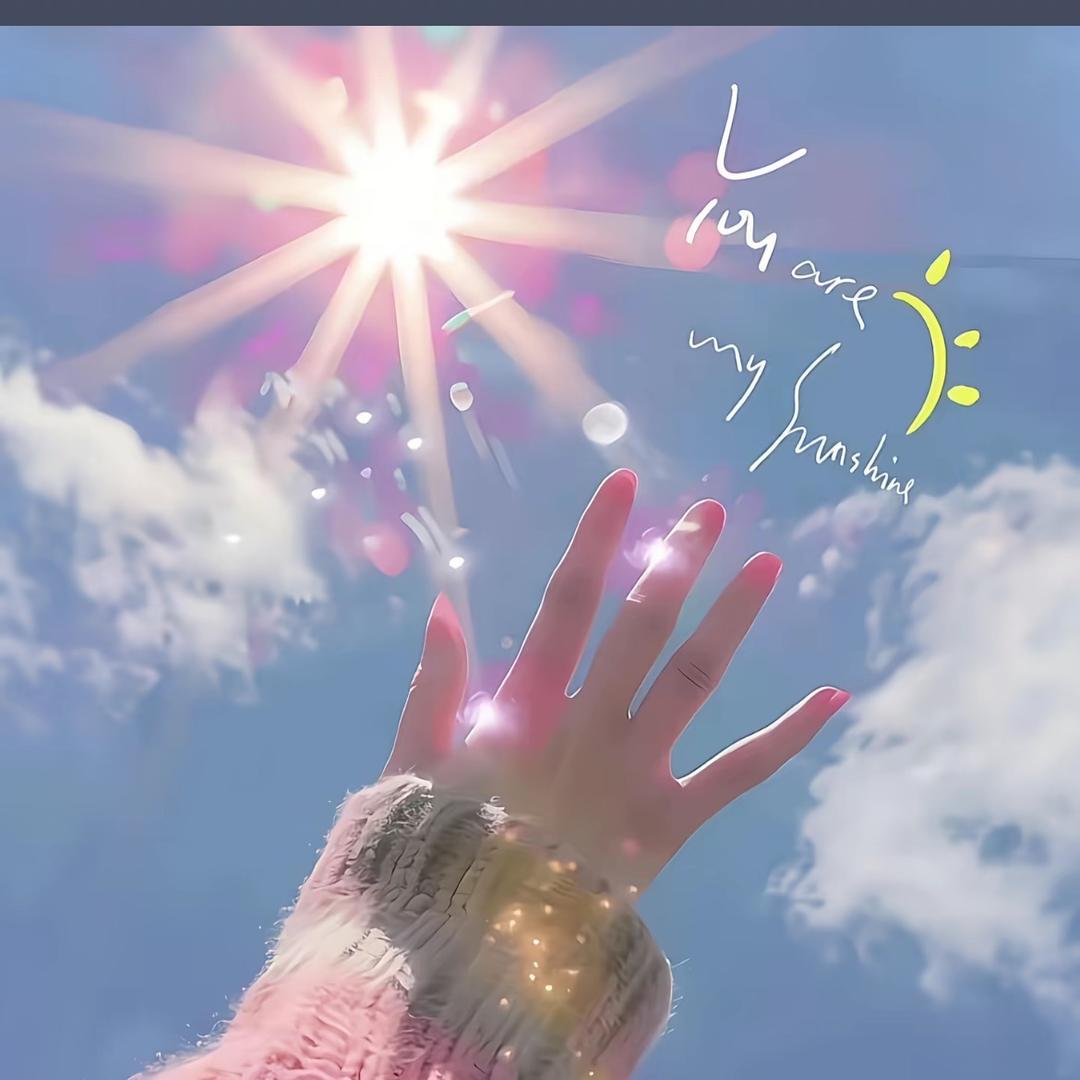 L ⊹꙳✧˖iu（拒私聊）