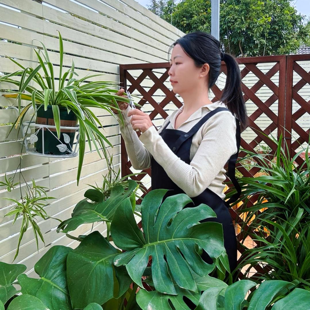 叁拾的养花日记