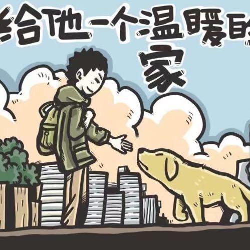 萌@爱心收容小院🐱🐶