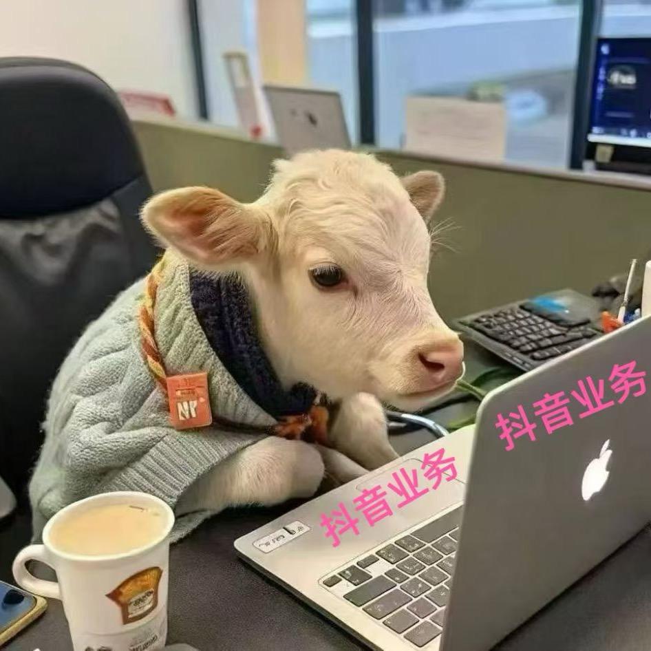 抖音（全业务）欢迎咨询