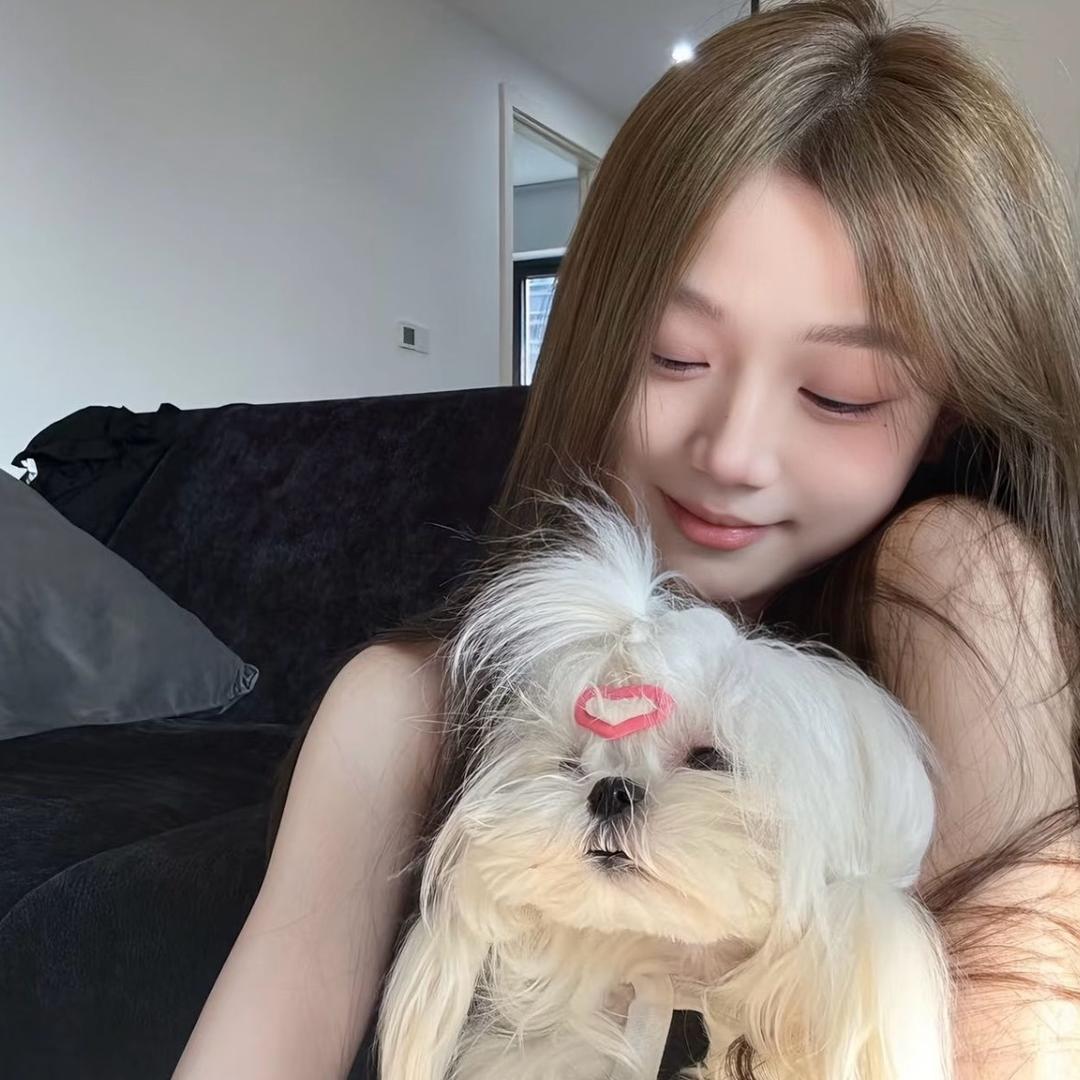 𝙏𝙪𝙡𝙞𝙥.