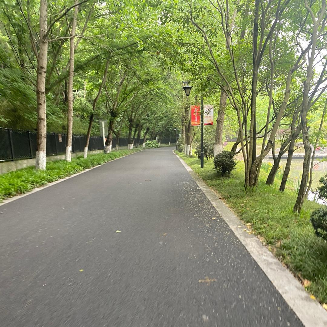 爱骑行的小磊哥