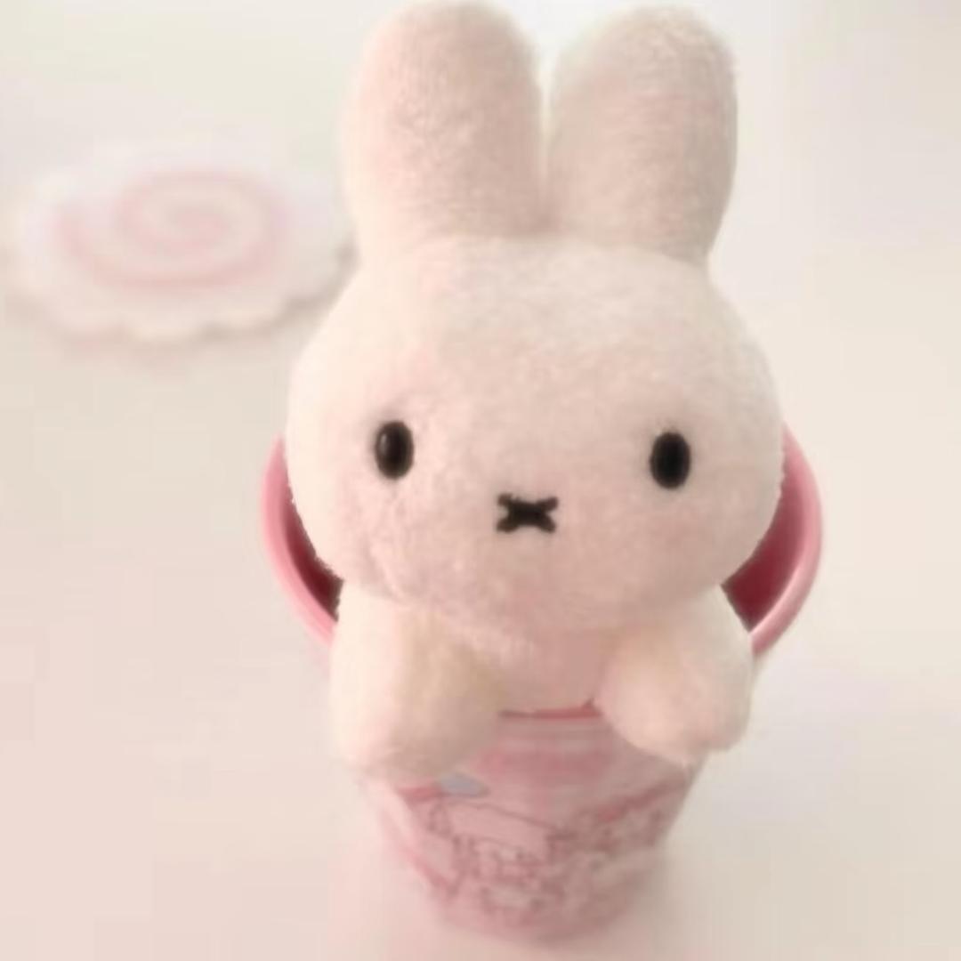 盼盼.