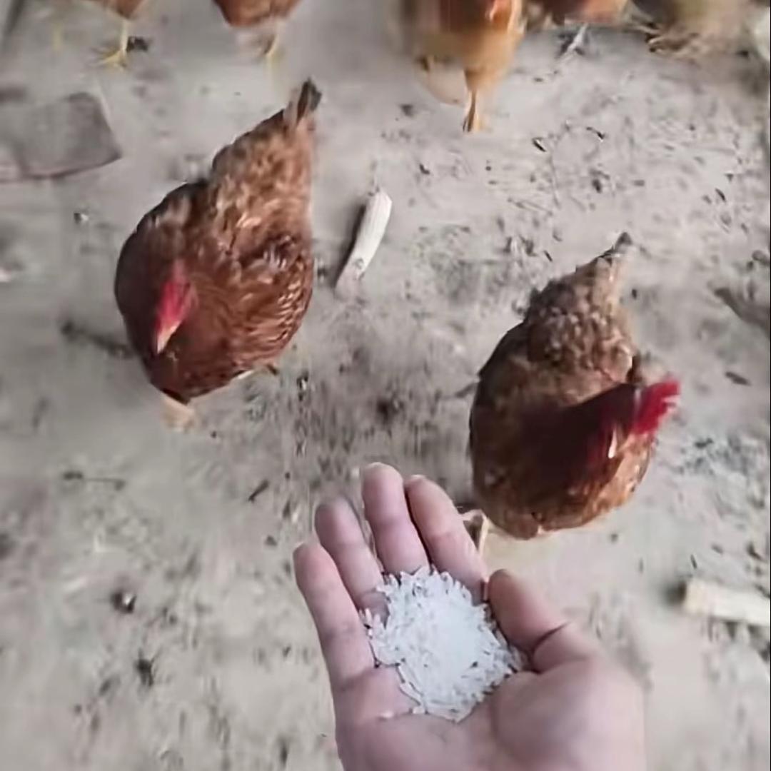 金华奥德飙🤏