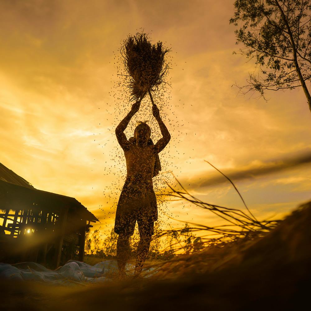 建春农业-云岭藏羌