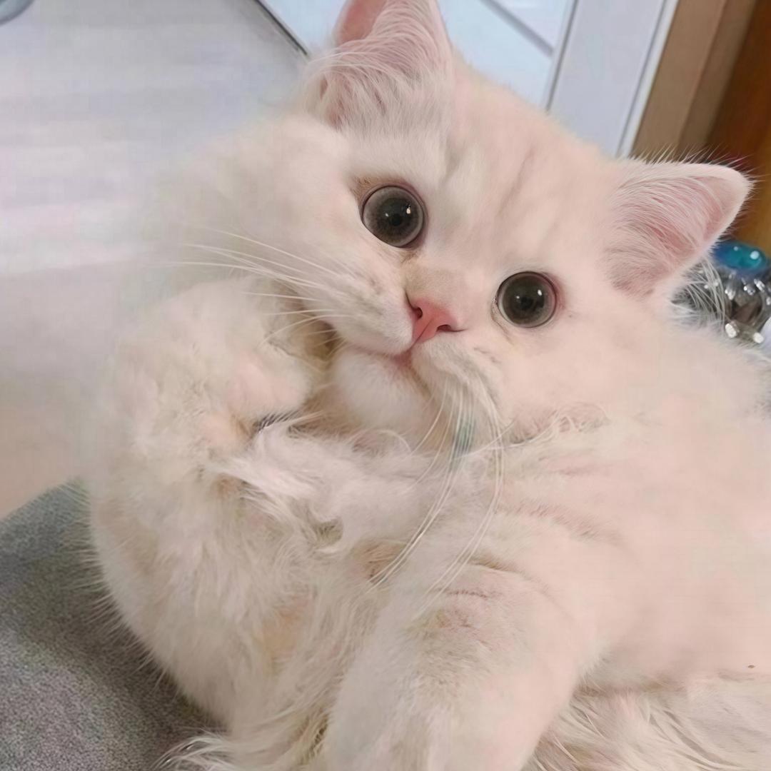 我有抑郁别惹我