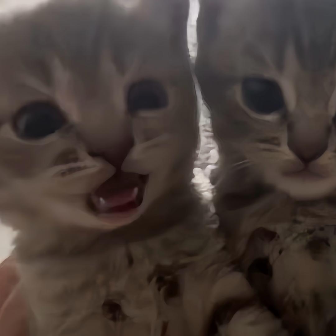 你要不要吃早饭