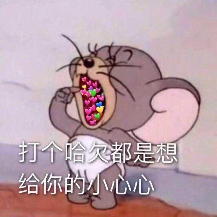 仓仓