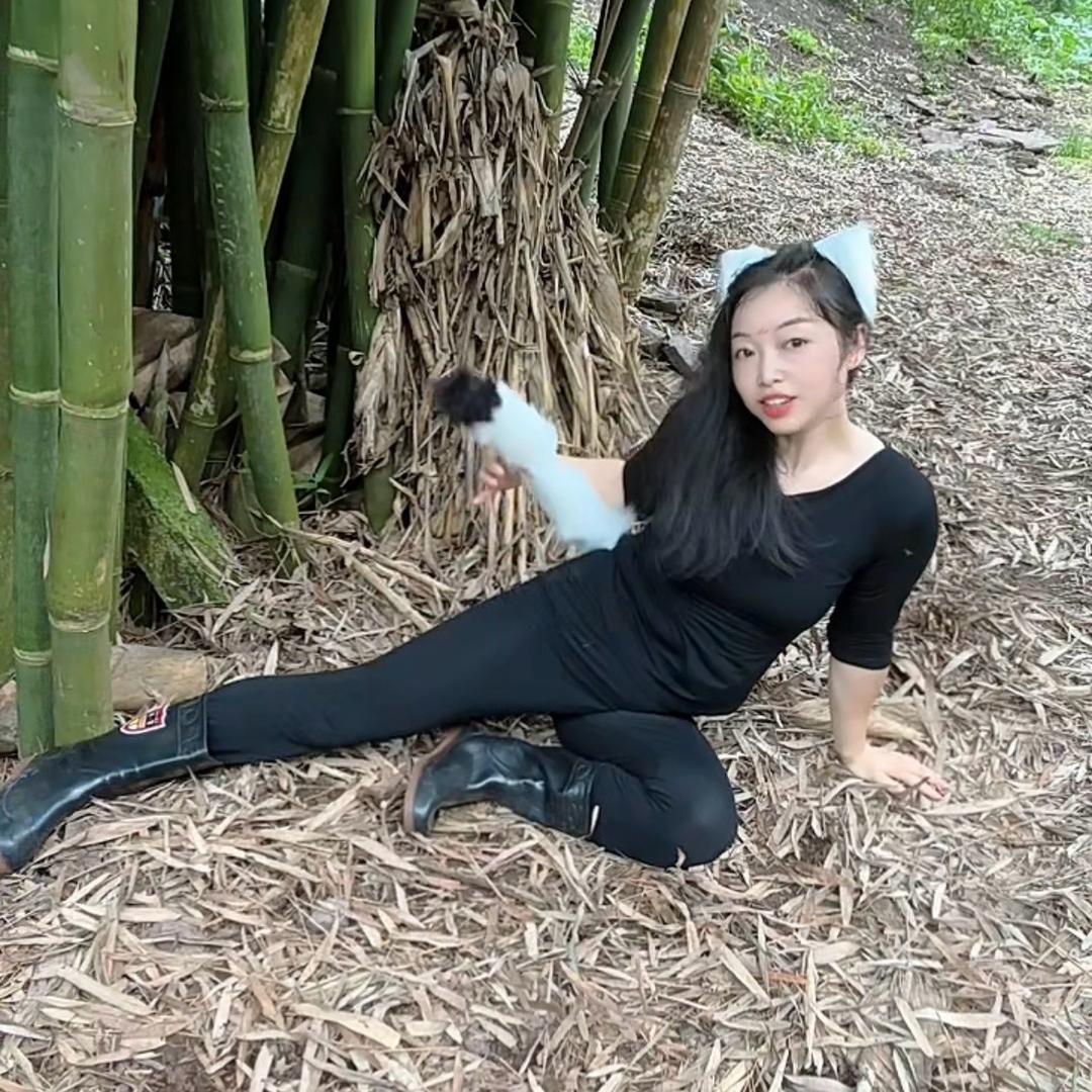 太白娘子