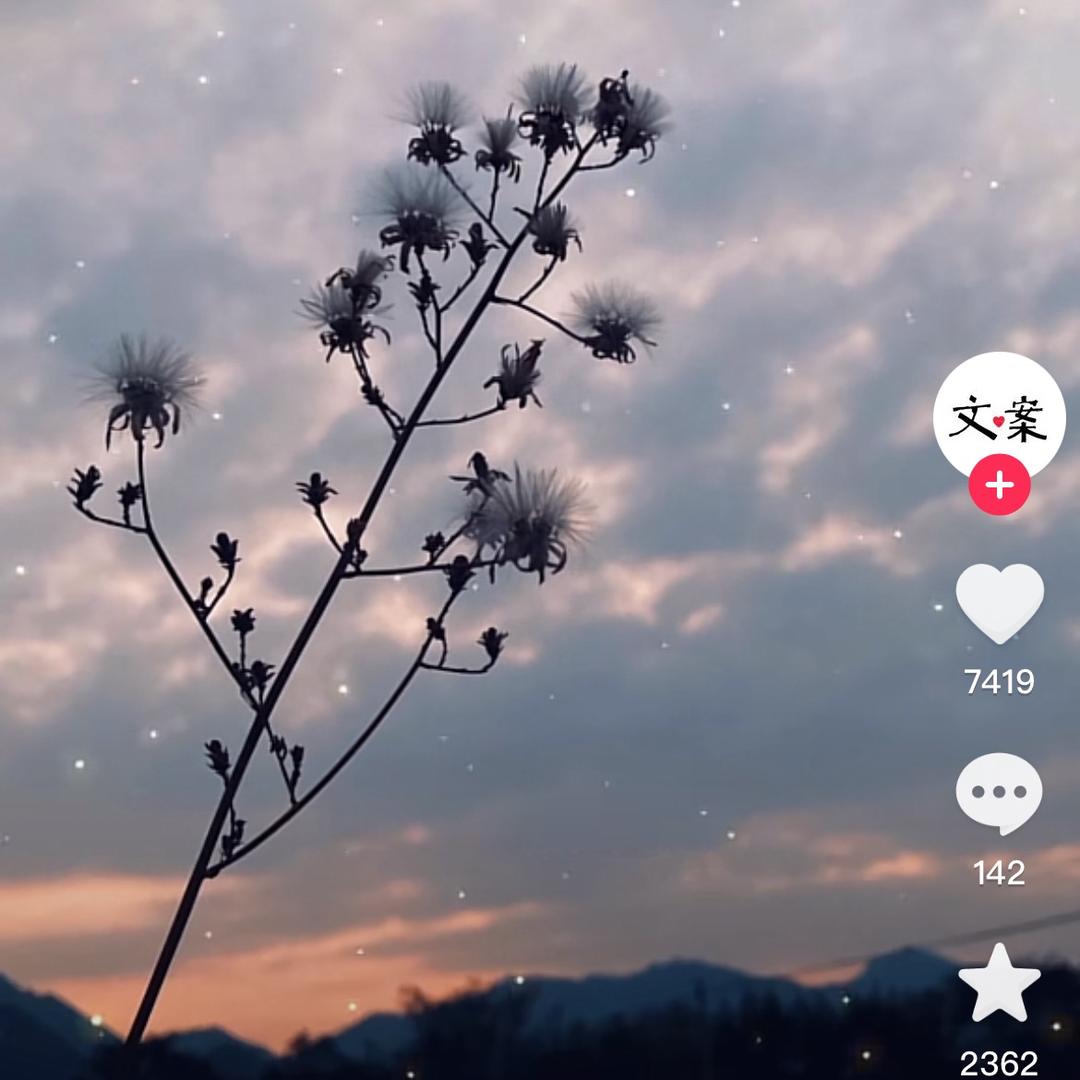 十10