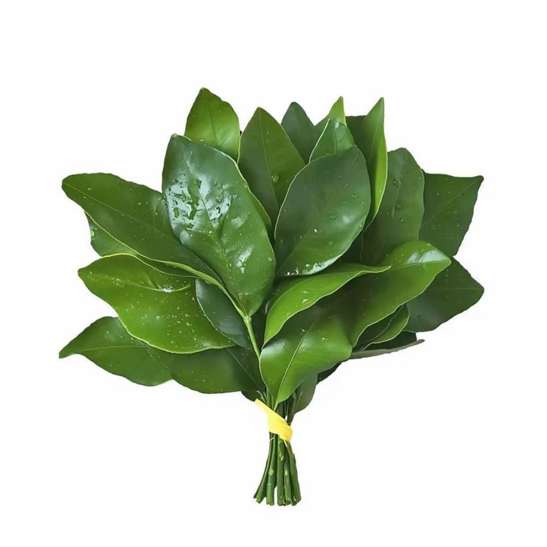偏爱小北🌷