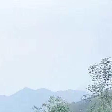 彬彬有你