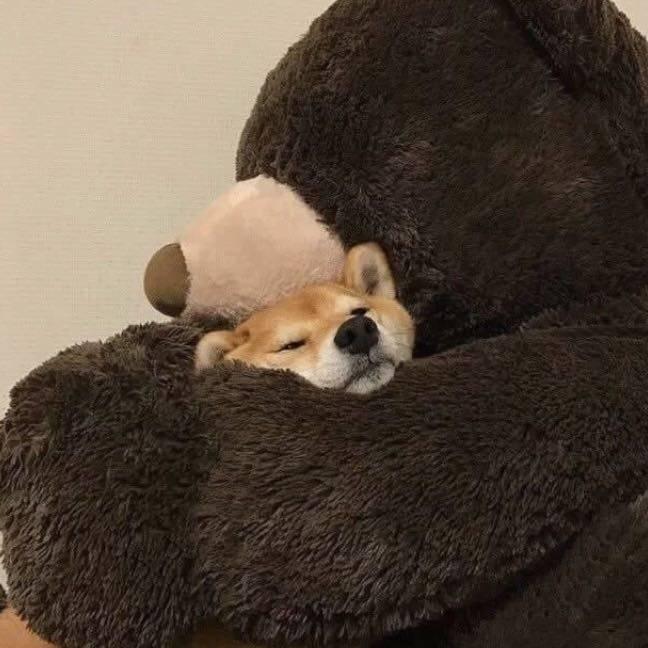 可爱有肉的游戏毒毒