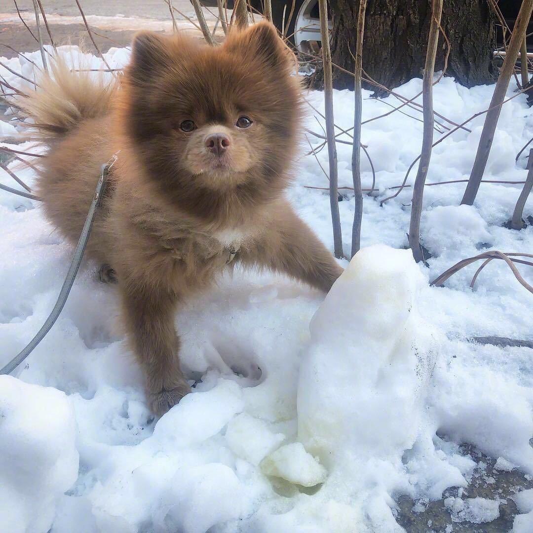 🌈锦年你在吧🙊