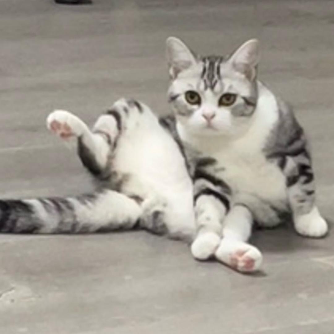 隽隽隽隽