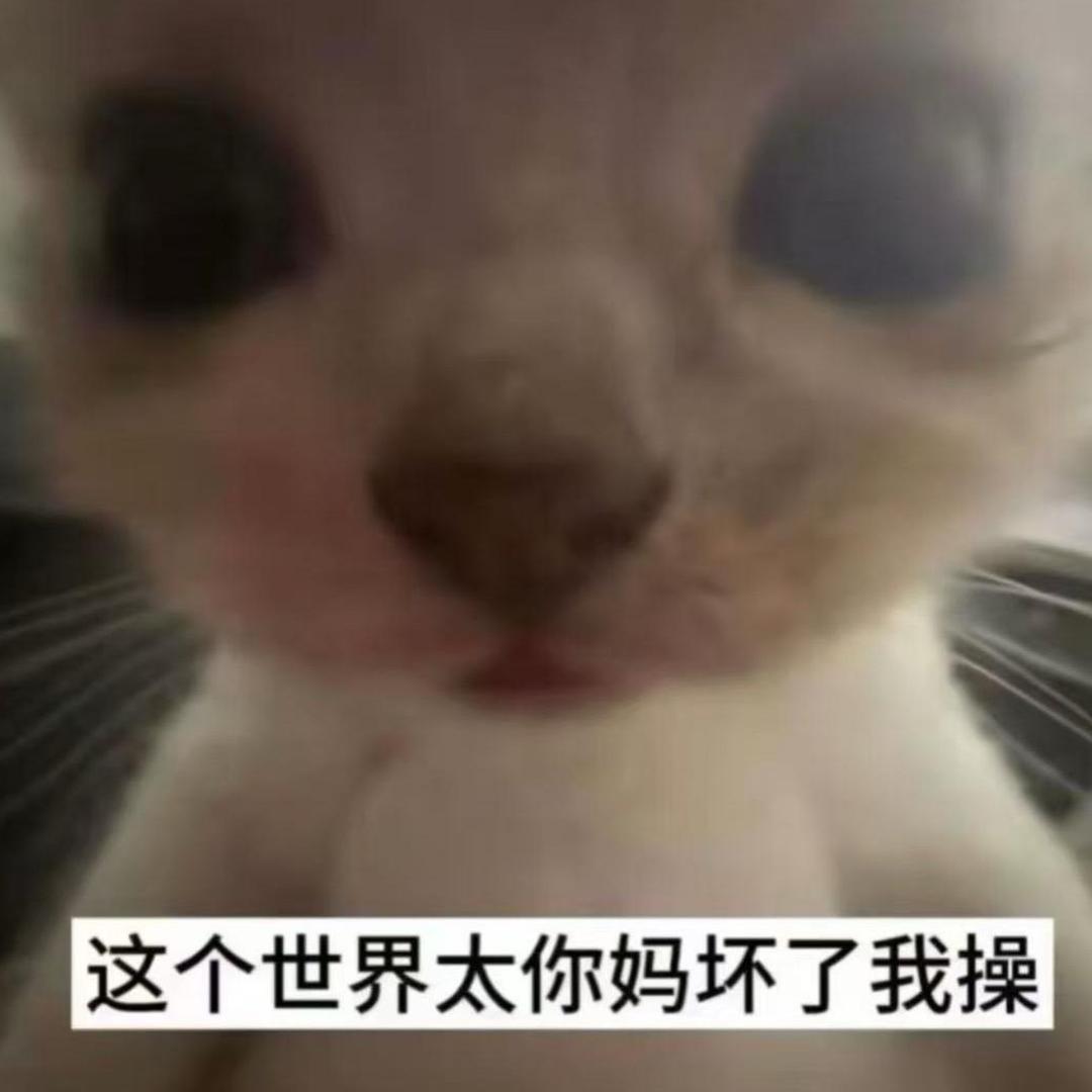 zzd