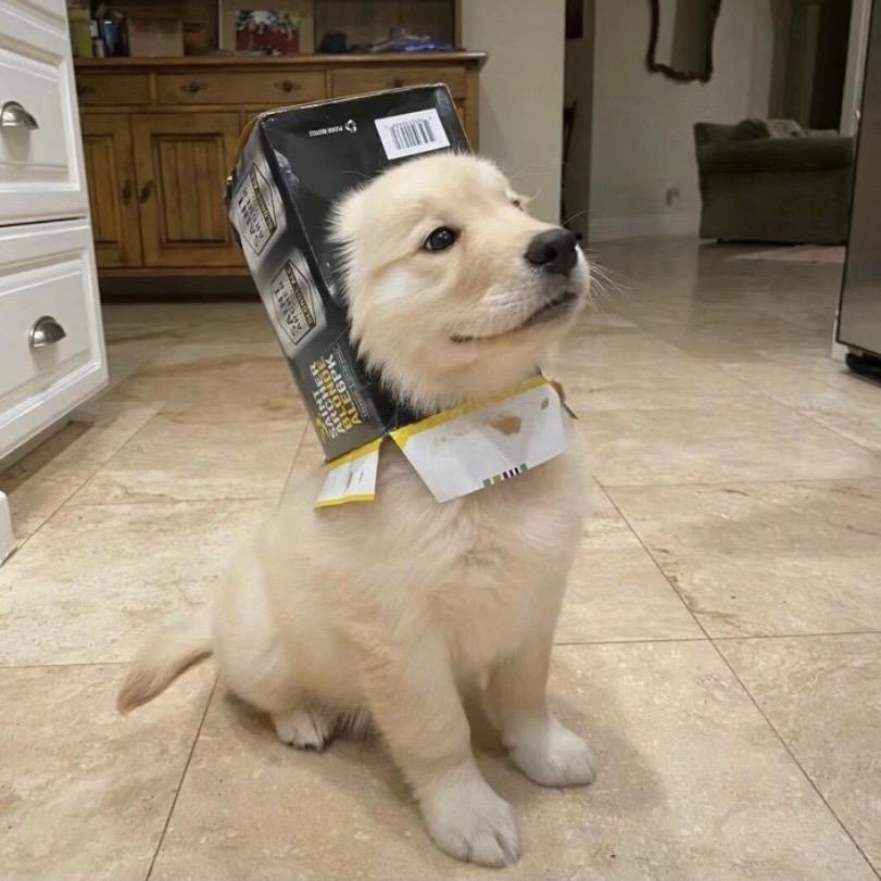 大熙