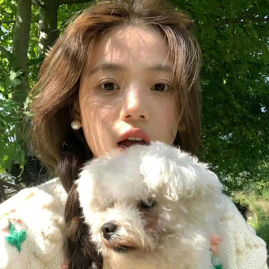 Zjq 조금추