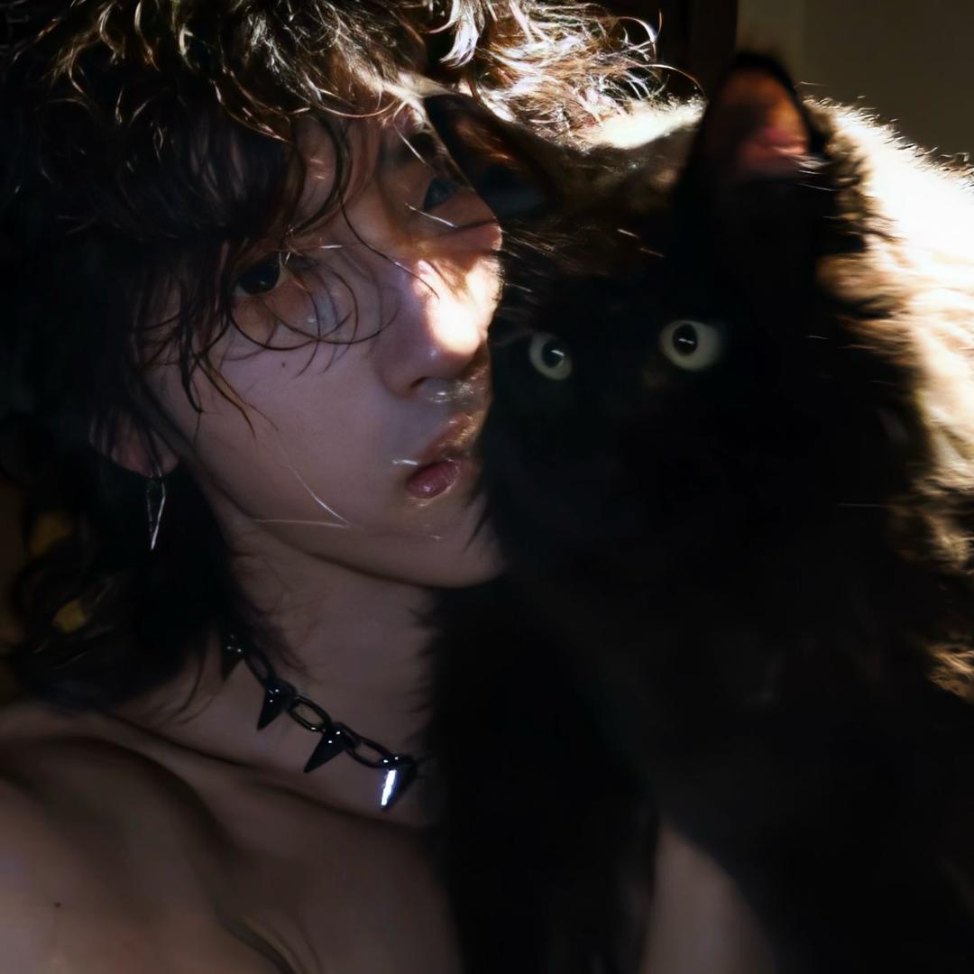 加菲猫🐱.