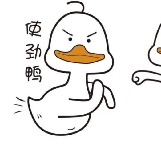 使劲鸭