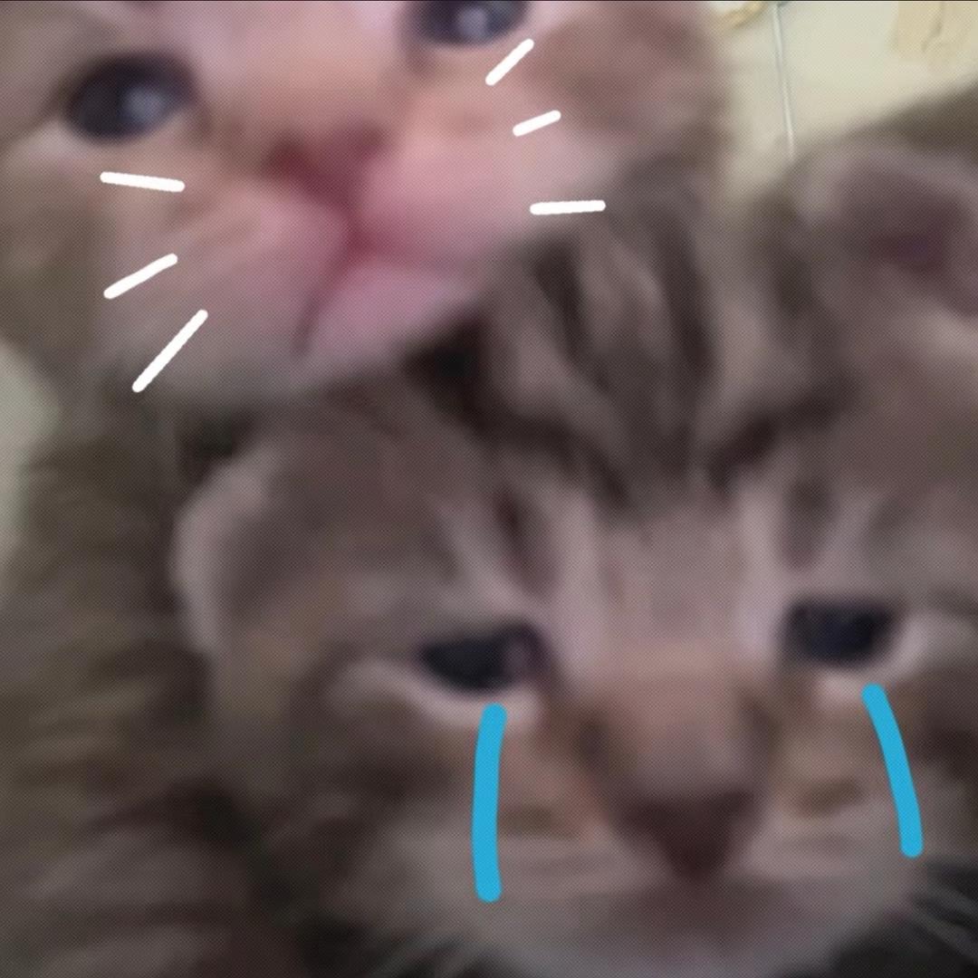 正月十二