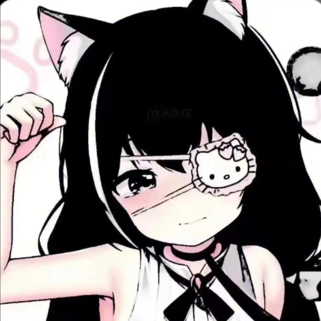 小猫宝宝