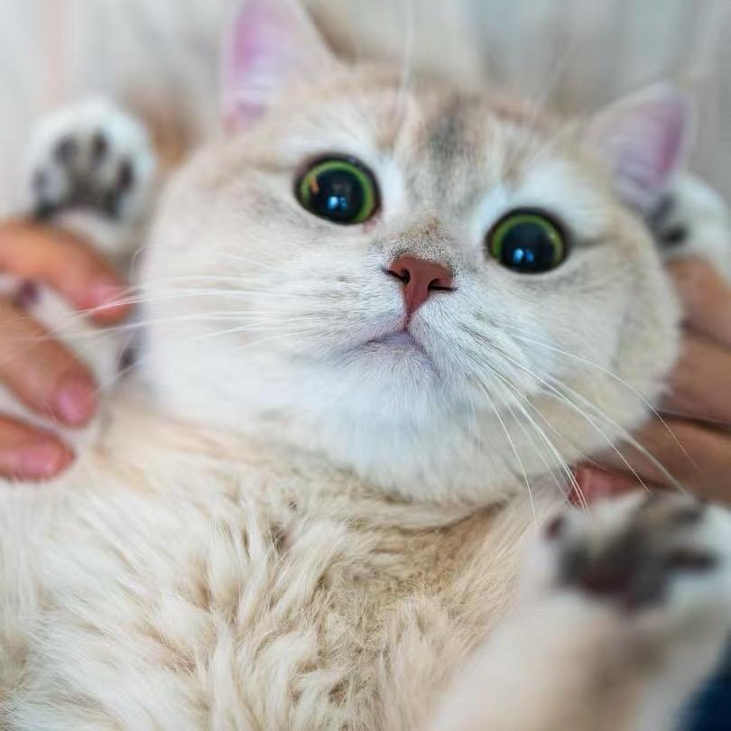五一酱🎀