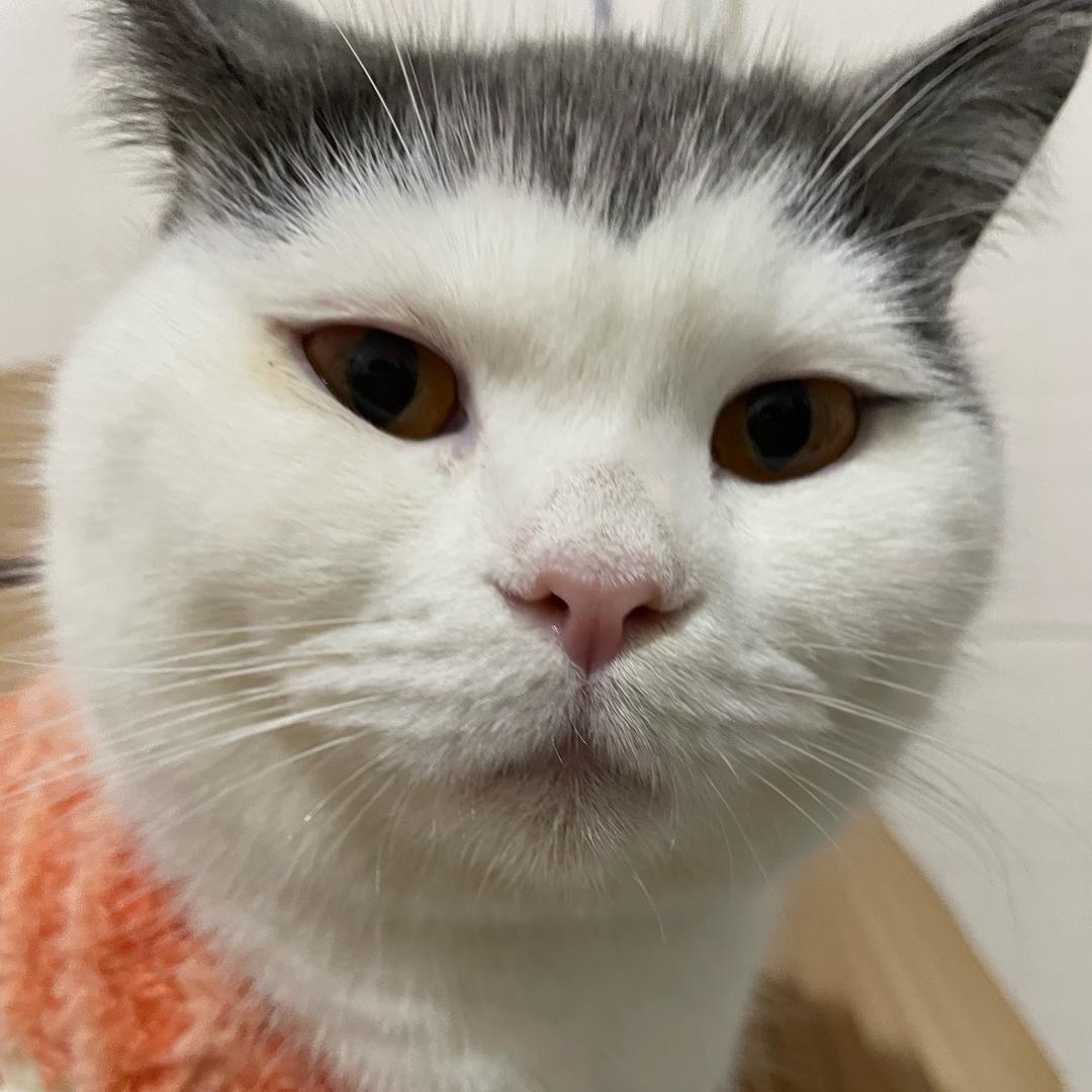 钟头头