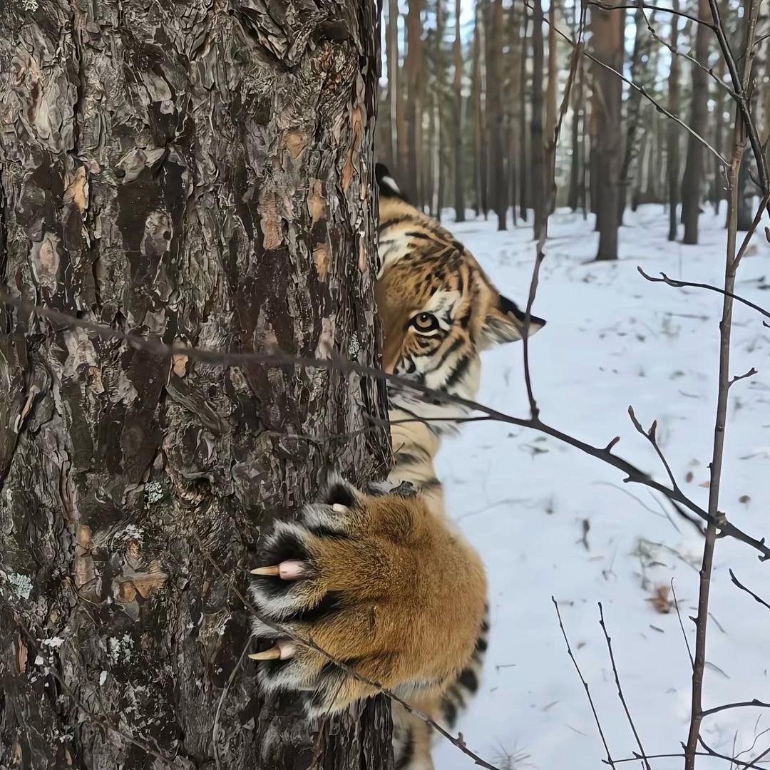 1028