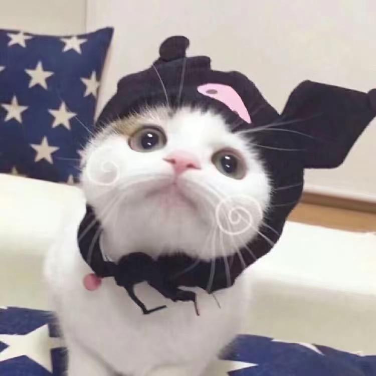 小昕(好物分享)
