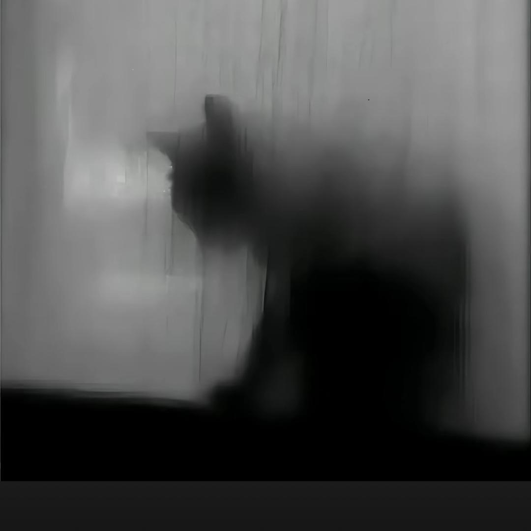 OTO