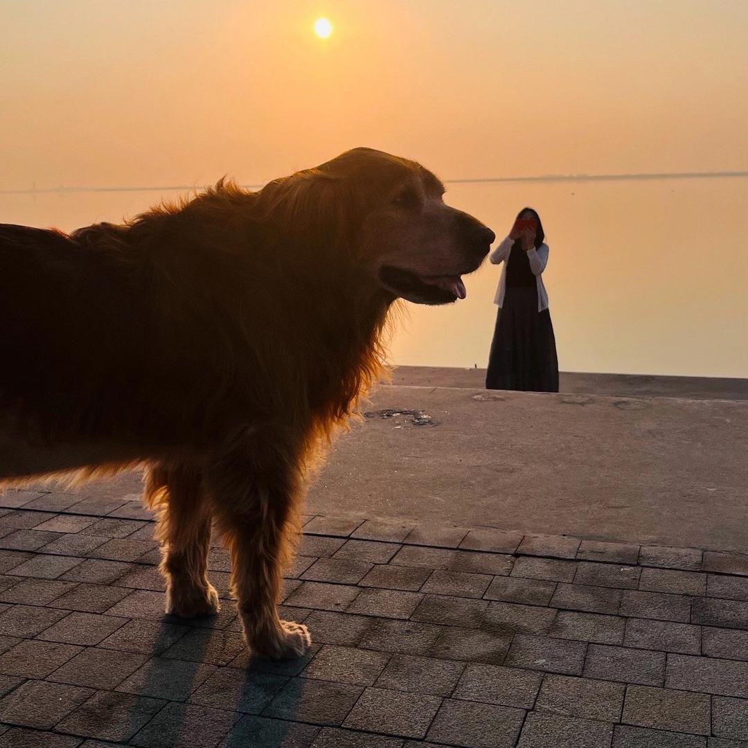 是爸爸的丫头呀～