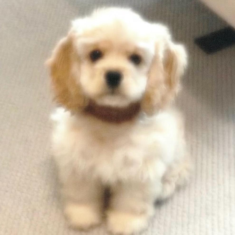 🧊🧊