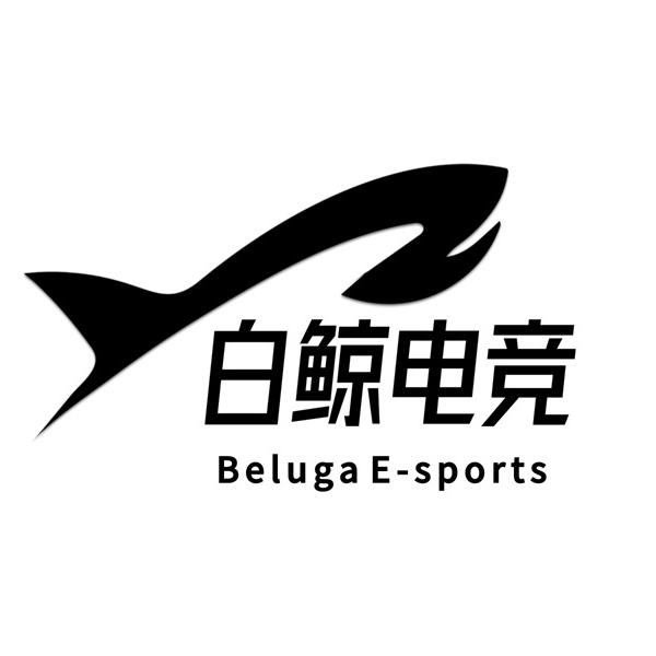 白鲸电竞