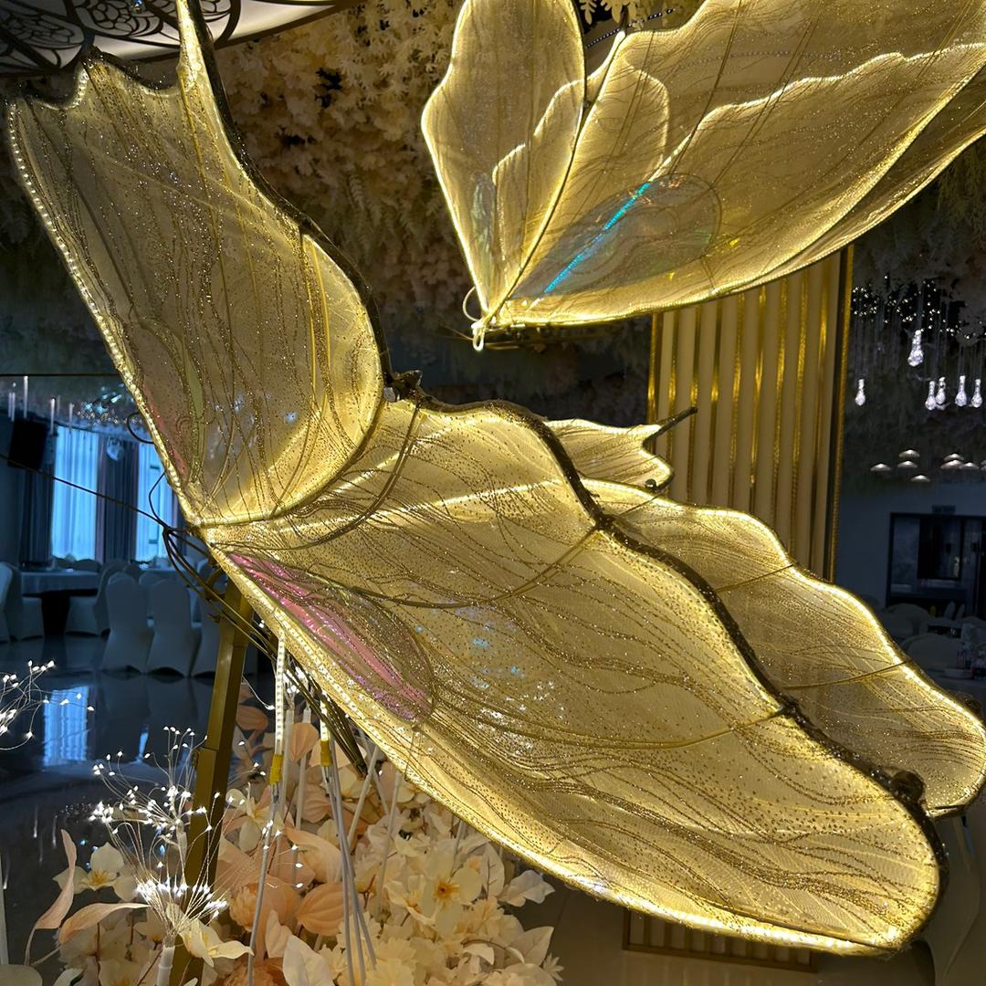 阳阳
