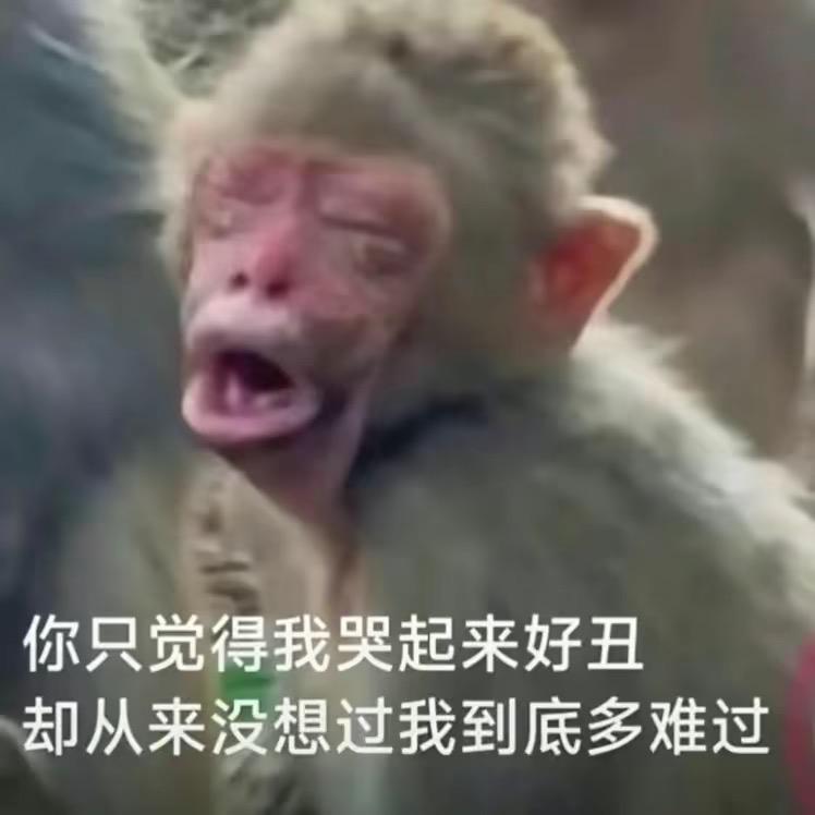 悲伤的大吗咯