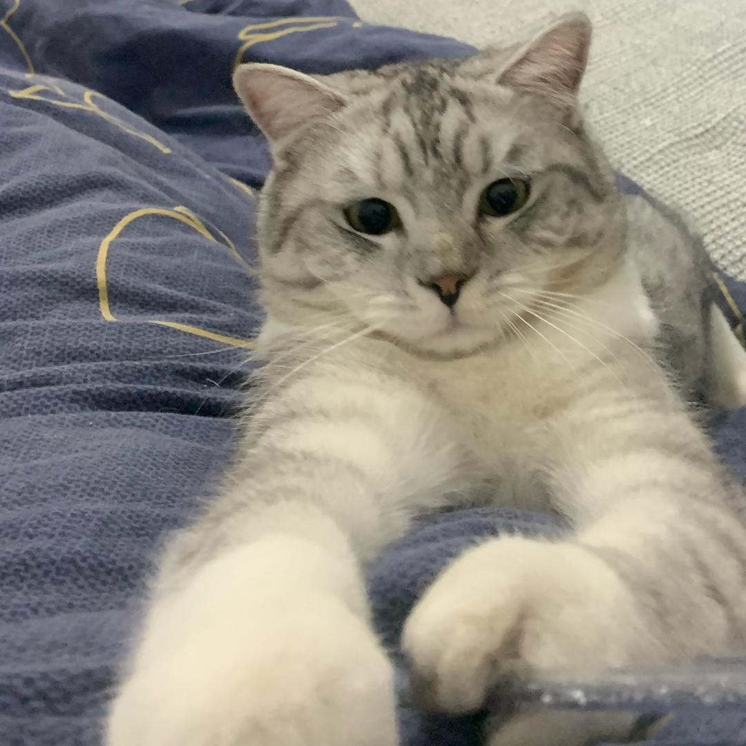 纳米贝贝