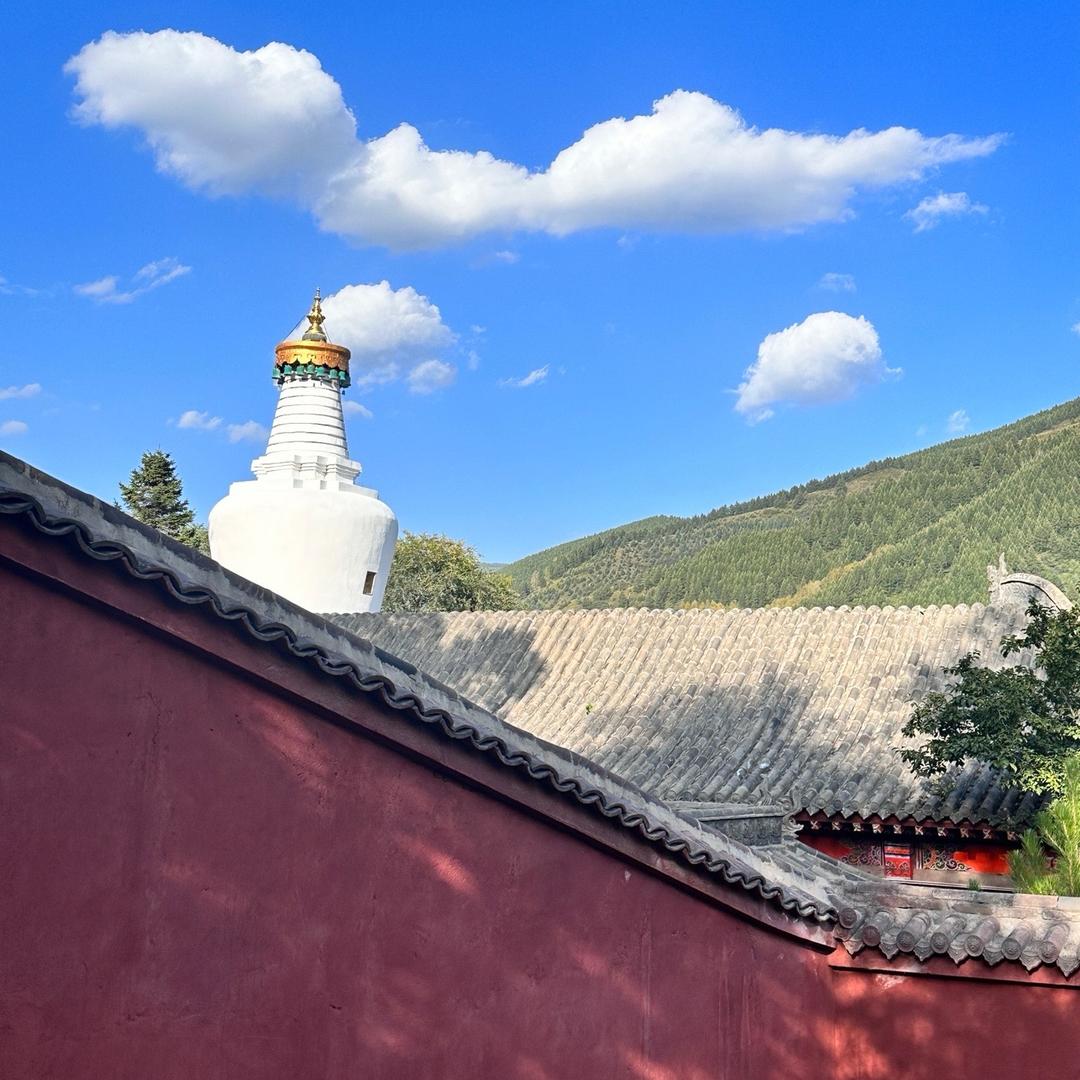 安国刘学义🦷口腔