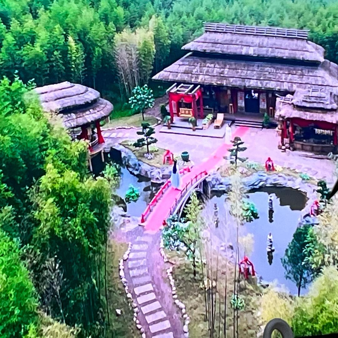 向阳而生