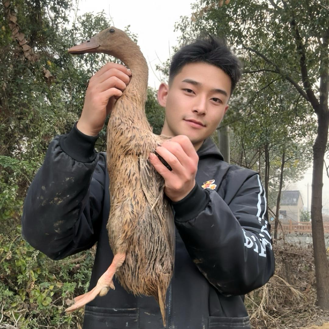 发财鸭🐤