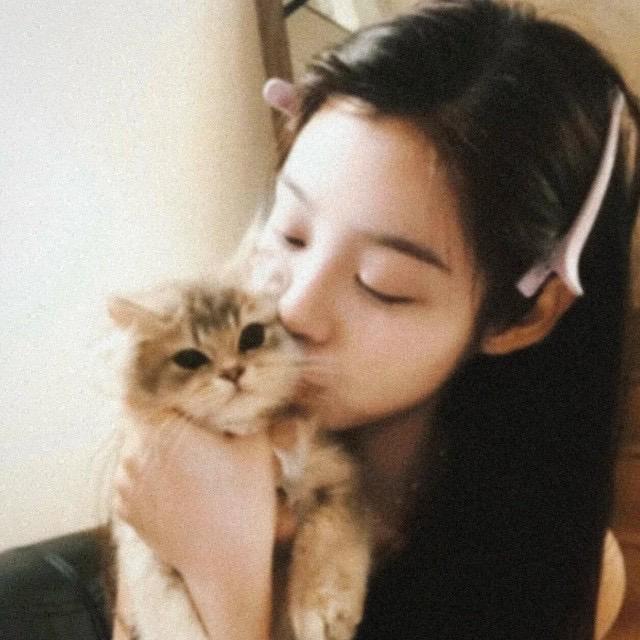 椰椰耶.