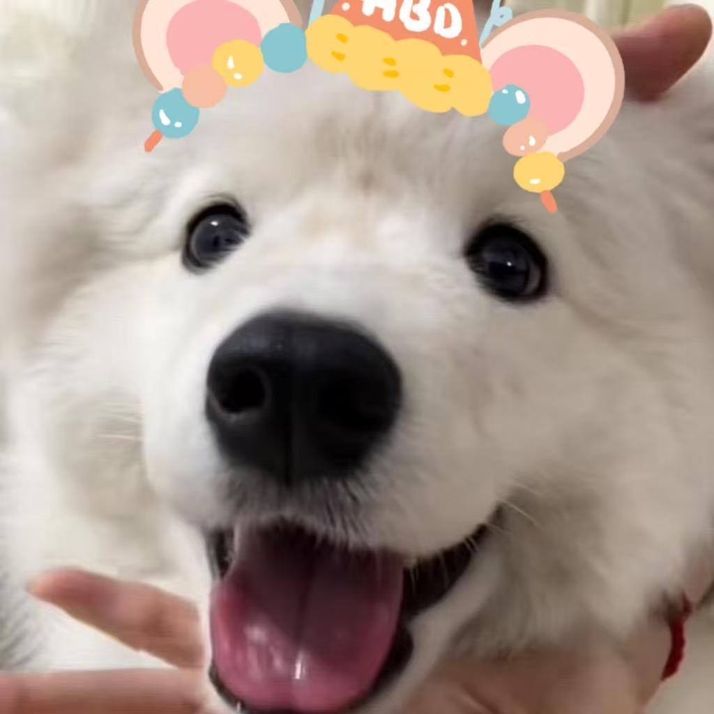 爱吃可乐鸡翅