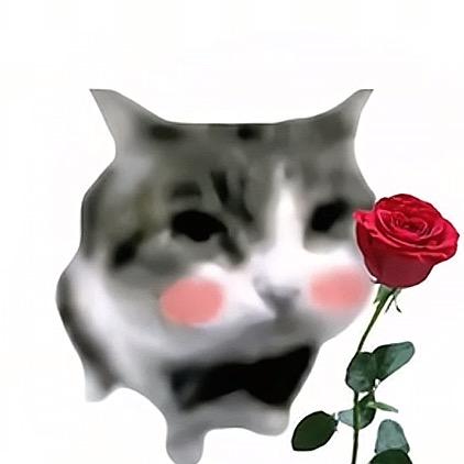 勇少. 帝者戰神𒉭