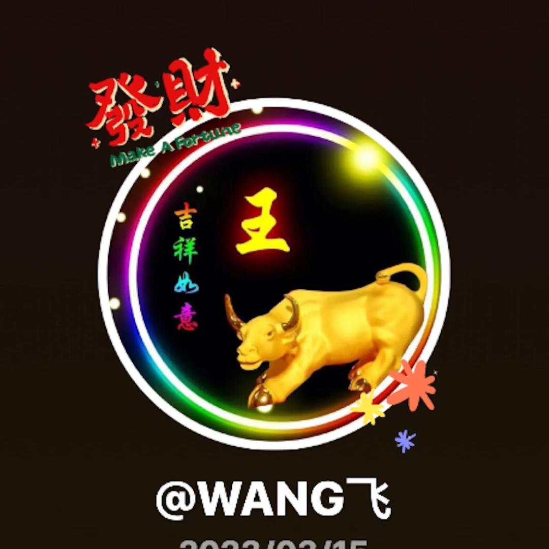 WANG飞