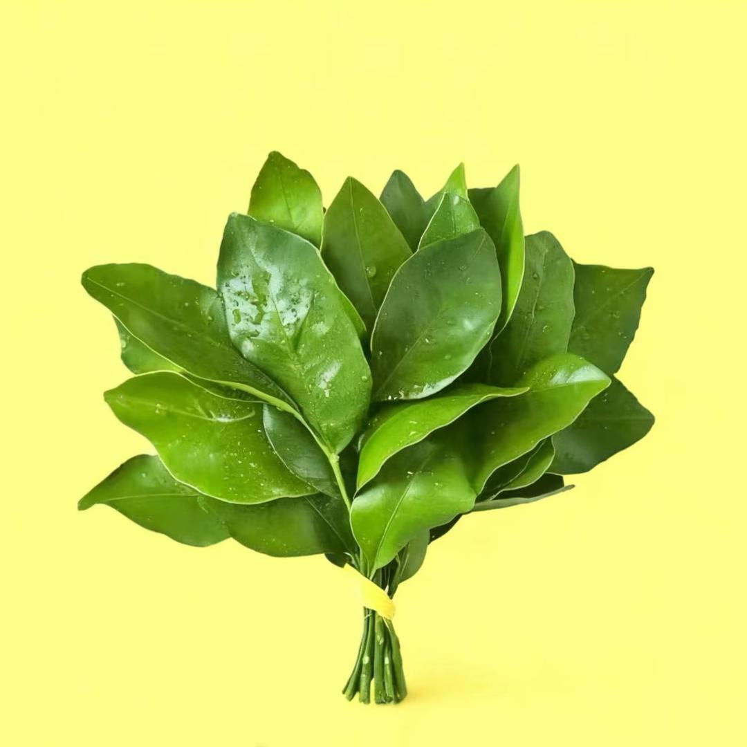 哆哆小可爱